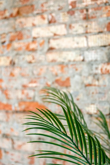 Leaf of an artificial palm tree