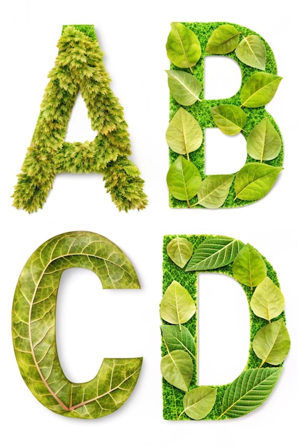 Photo leaf font abcd isolated on white background leafs font abcd made of real alive leaves with previous paper cut shape of font leafs font