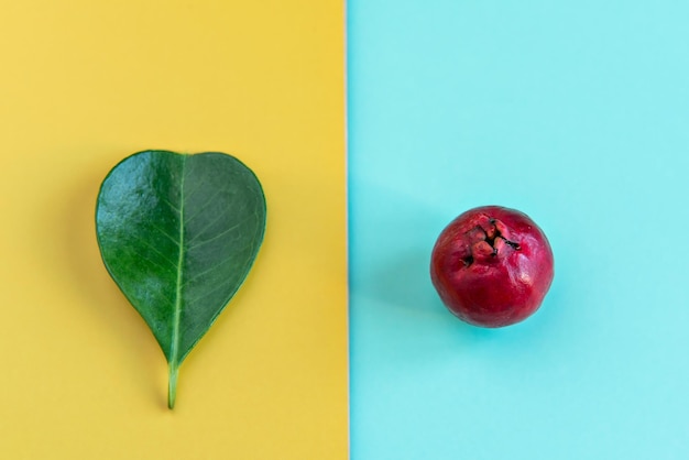 Leaf and Fruit Cattley guava red fruit Psidium cattleyanum on green and yellow background