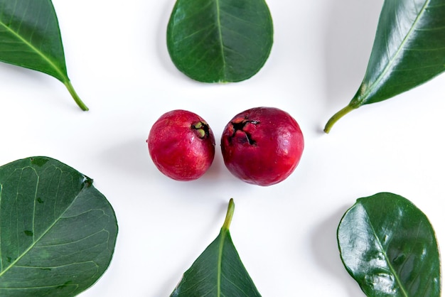 Leaf and Fruit Cattley guava red fruit Psidium cattleyanum on white background top view