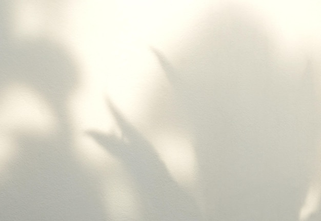 Leaf shadow of the leaves on concrete wall