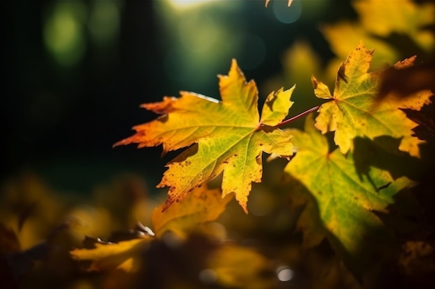 A leaf that has the word autumn on it