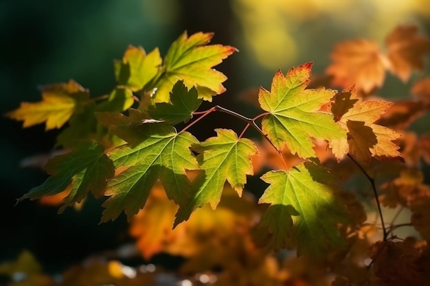 A leaf that has the word maple on it