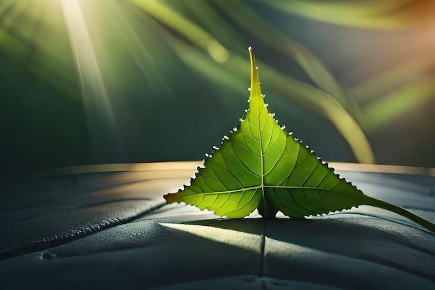 A leaf that is on a leather surface