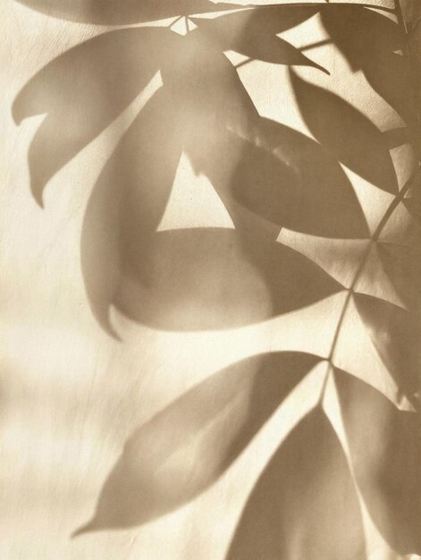 Photo a leafy plant casting a shadow on a wall