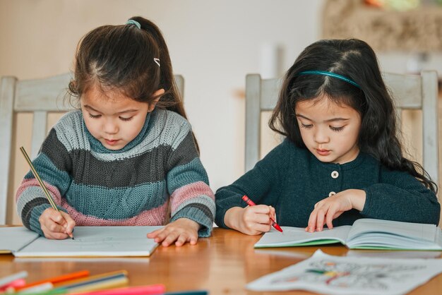 Learning is always fun Shot of two sisters completing their homework together