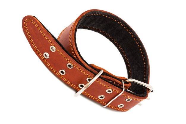 Leather dog collar