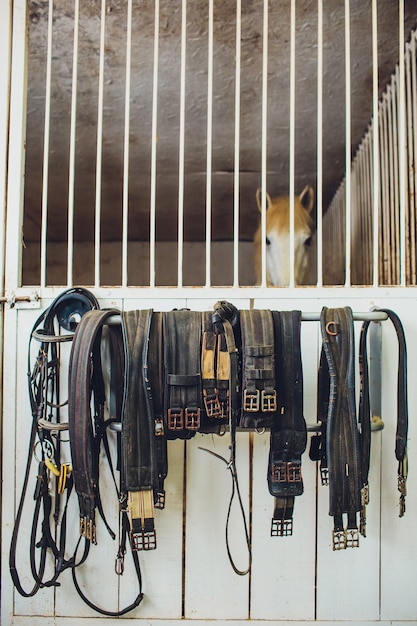 A leather saddles horse in a stable