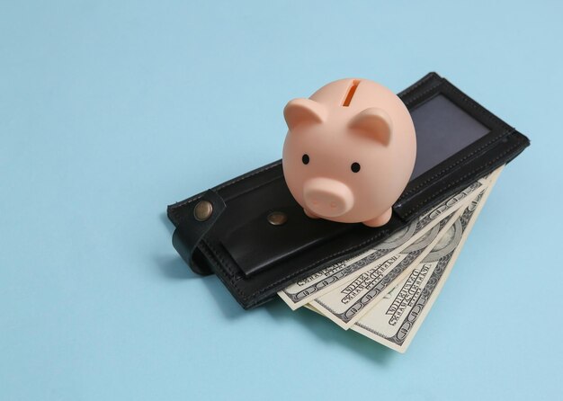 Leather wallet with one hundred dollar bills and piggy bank on blue background Saving money