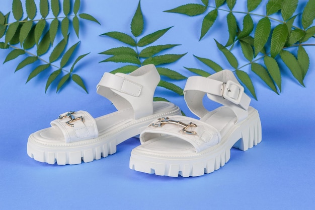 Leather white women's sandals on a blue background with palm leaves