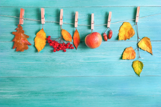 Leaves, apples, acorns in autumn on a wooden background. The leaves hang on a rope with clothespins.