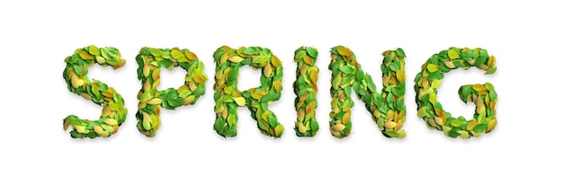 Leaves arranged in the word SPRING