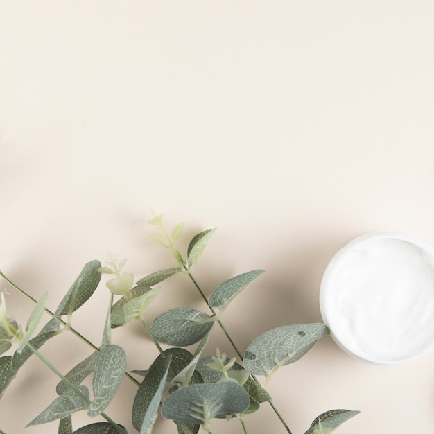 Leaves and body cream on plain background