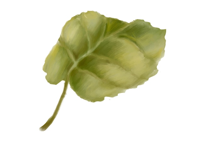 Leaves on a branch. Green leaves. Digital illustration.