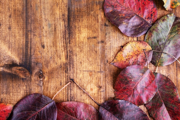 Leaves on brown wooden background