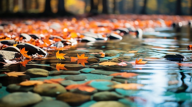 Leaves Floating on a Calm Pond