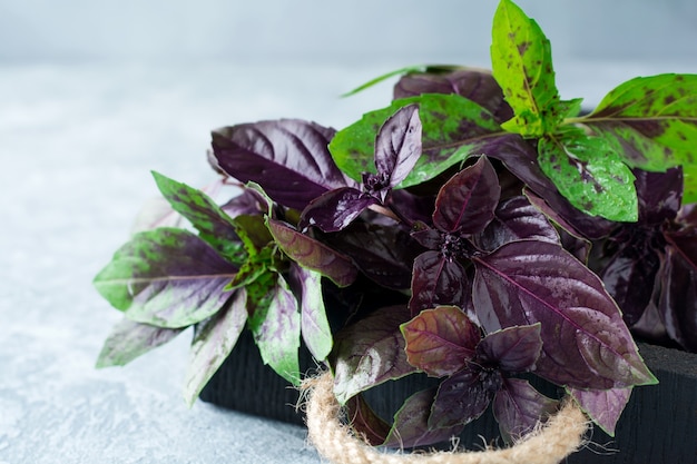 Leaves of fresh blue and green basil on a wooden stand. Selective focus.Top view. Copy space.