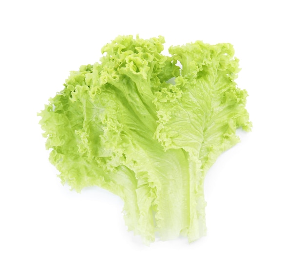 Leaves of fresh lettuce on white background Salad greens