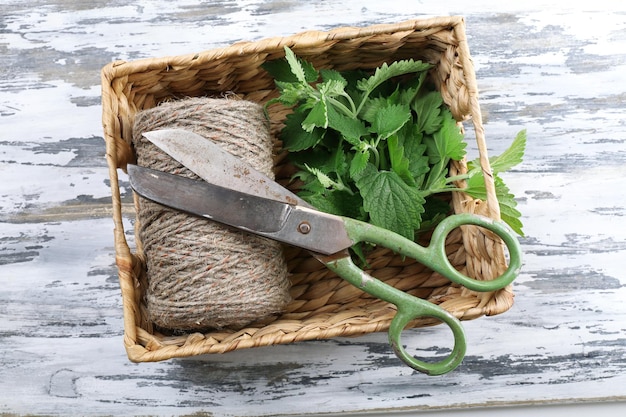 Leaves of lemon balm with rope and scissors on wooden table top view