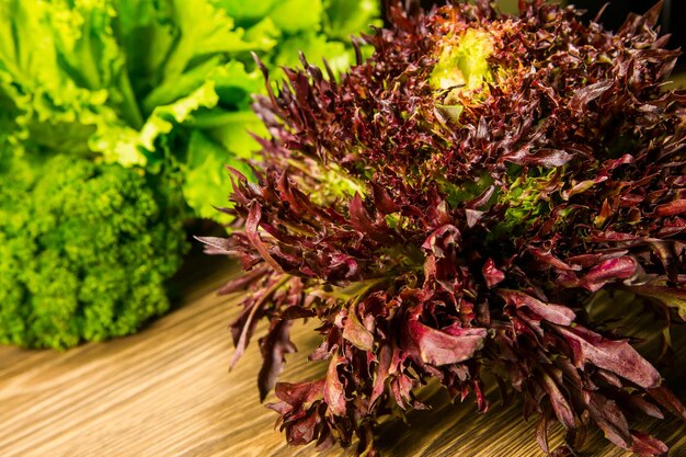 Leaves of lettuce and basil on a wooden background Seasoning for the kitchen Greenery