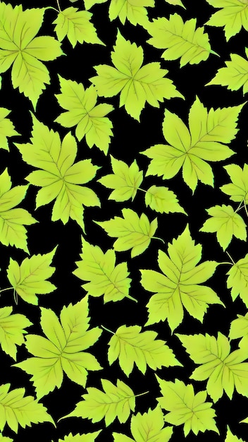 Leaves of a plant with green leaves on a black background