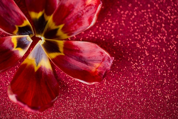 Leaves And Red Glitter Background, Red Tulip With Glitter Background