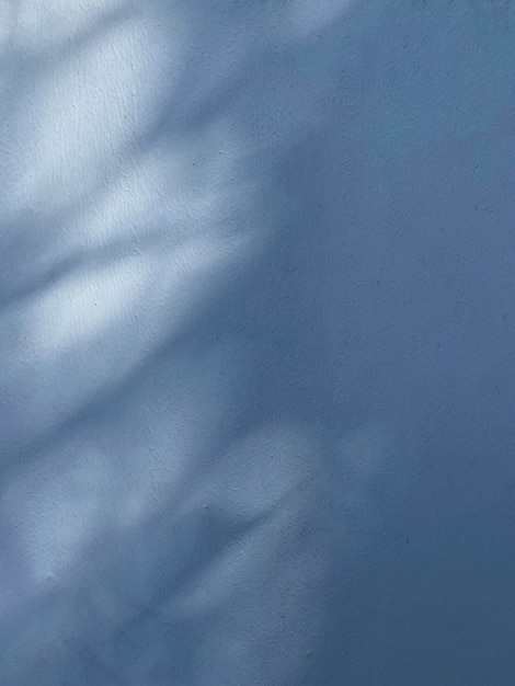 Leaves shadow on concrete wall background