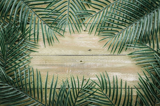 leaves tropical tree on wooden floor 