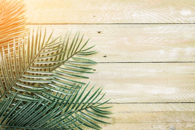 leaves tropical tree on wooden floor 