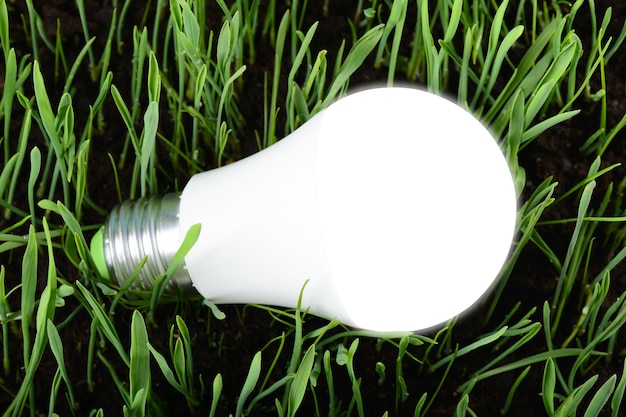 Led light bulb on green grass