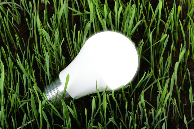 Led light bulb on green grass