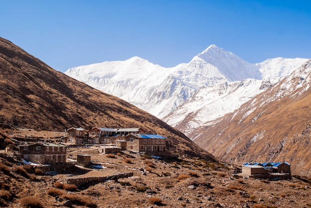 Ledar village, tourist lodge and guesthouse buildings in himalaya mountains