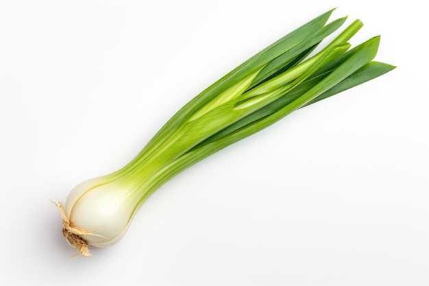 Leek vegetable isolated on white top view