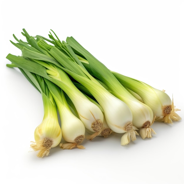 leeks on white background