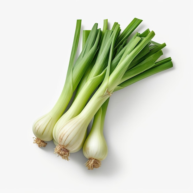 leeks on white background