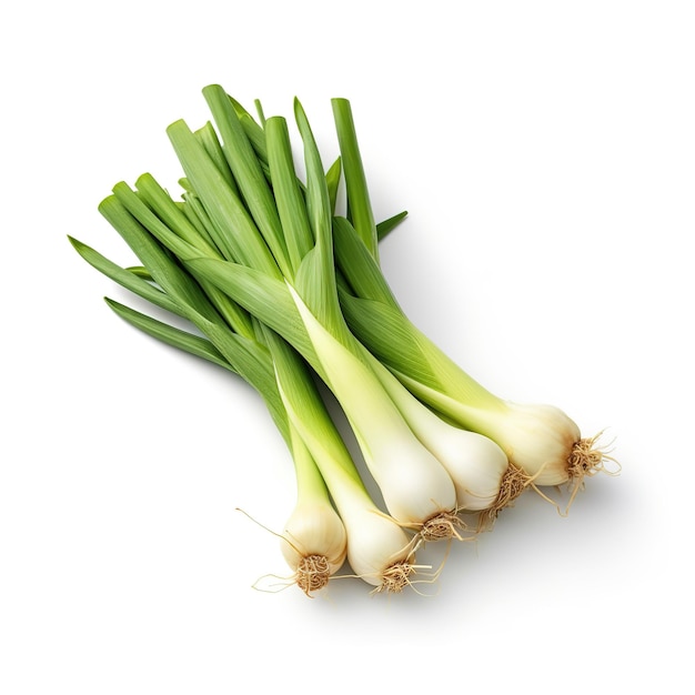 leeks on white background