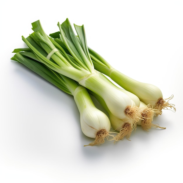 leeks on white background