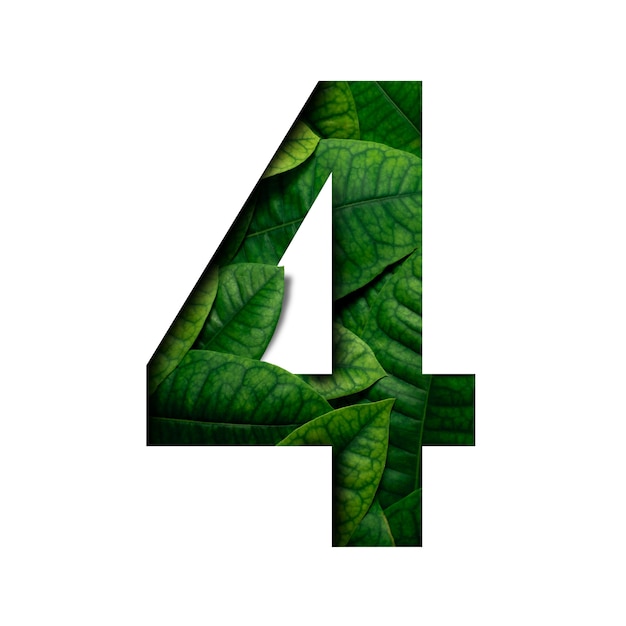 Lefas number 4 made of Real alive leafs with Precious paper cut shape of number. Leafs font.