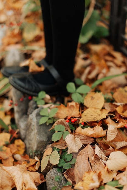 Legs on the background of autumn foliage close-up autumn landscape