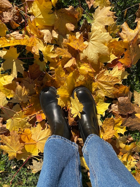 Legs in black boots and blue jeans standing on the ground with autumn leaves top view Women's legs on autumn leaves Beautiful autumn