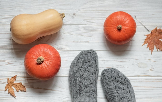 Legs of a girl in knitted socks on a wooden background next to pumpkins and autumn leaves