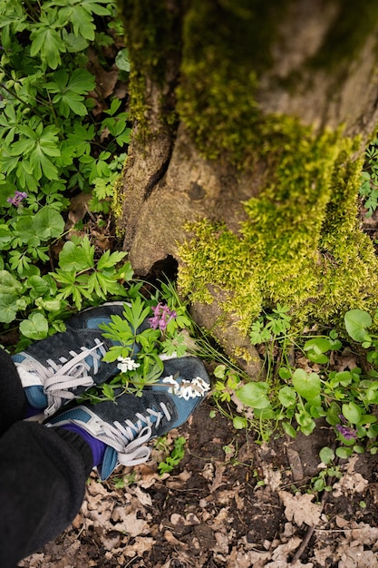 Legs with sneakers of man near a tree on forest Love to nature