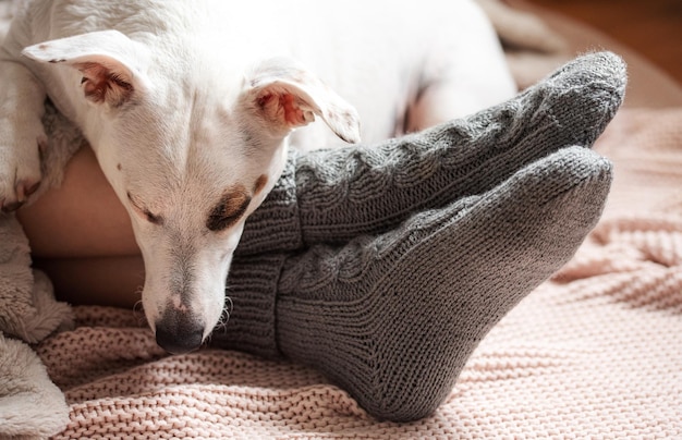 Legs of a young girl in cozy knitted socks