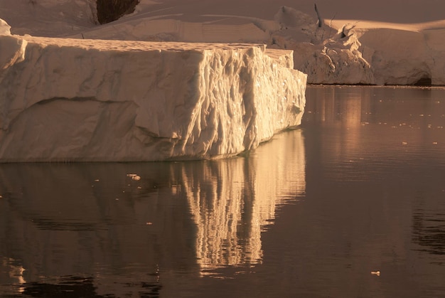 Lemaire strait coastal landscape mountains and icebergs Antarctic Peninsula Antartica