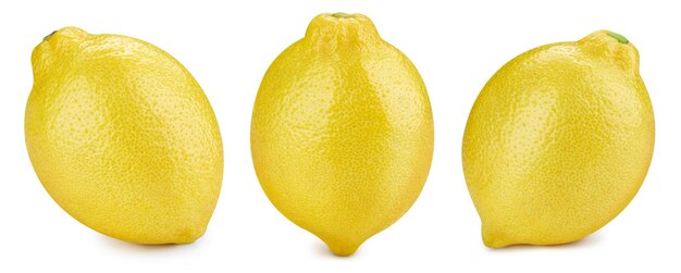 Lemon fruit isolated