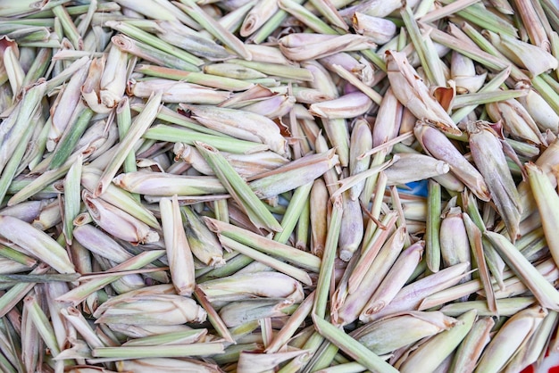 Lemon grass slice on background fresh lemon grass dry in the sun for food and herb lemongrass tea