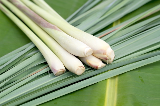 Lemon grass.