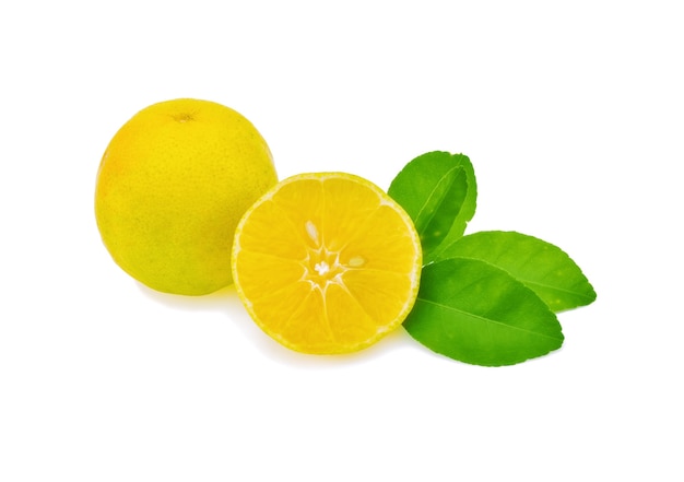 Lemon isolated