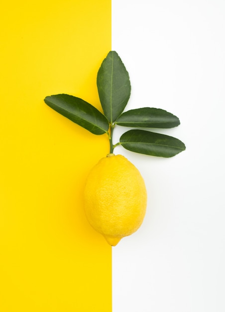 Lemon and leaves on colorful table