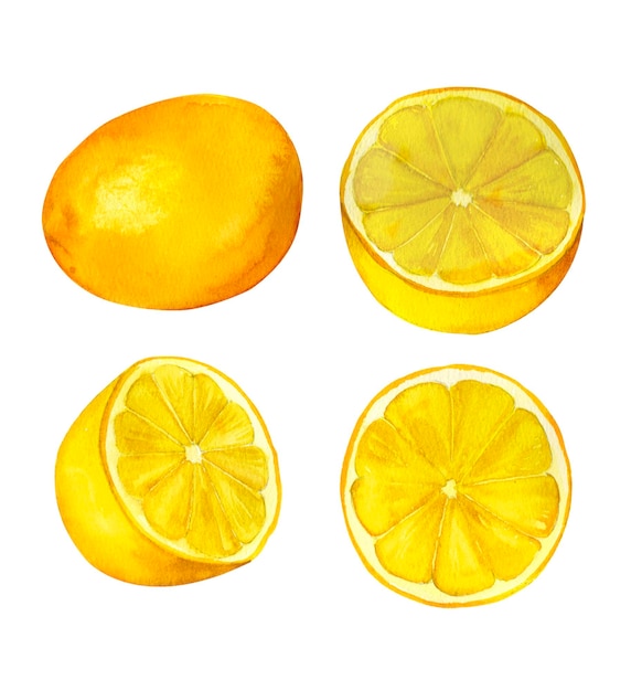 Lemon watercolor hand painted set isolated on white background Decoration for kitchen